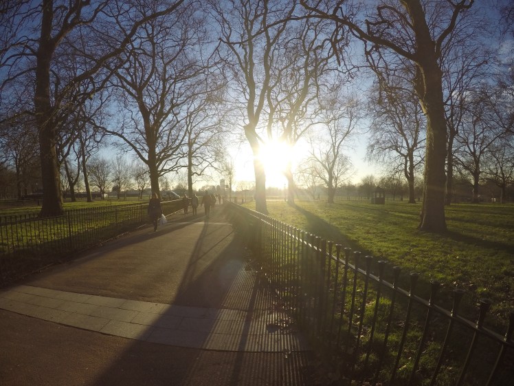 DCIM101GOPROGOPR3169.